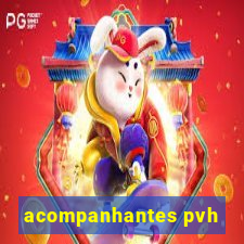 acompanhantes pvh