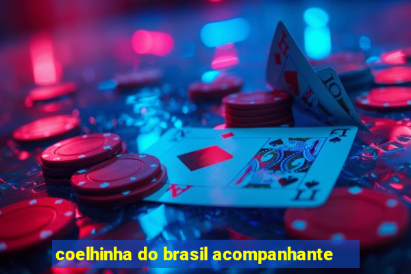 coelhinha do brasil acompanhante