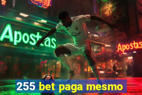 255 bet paga mesmo